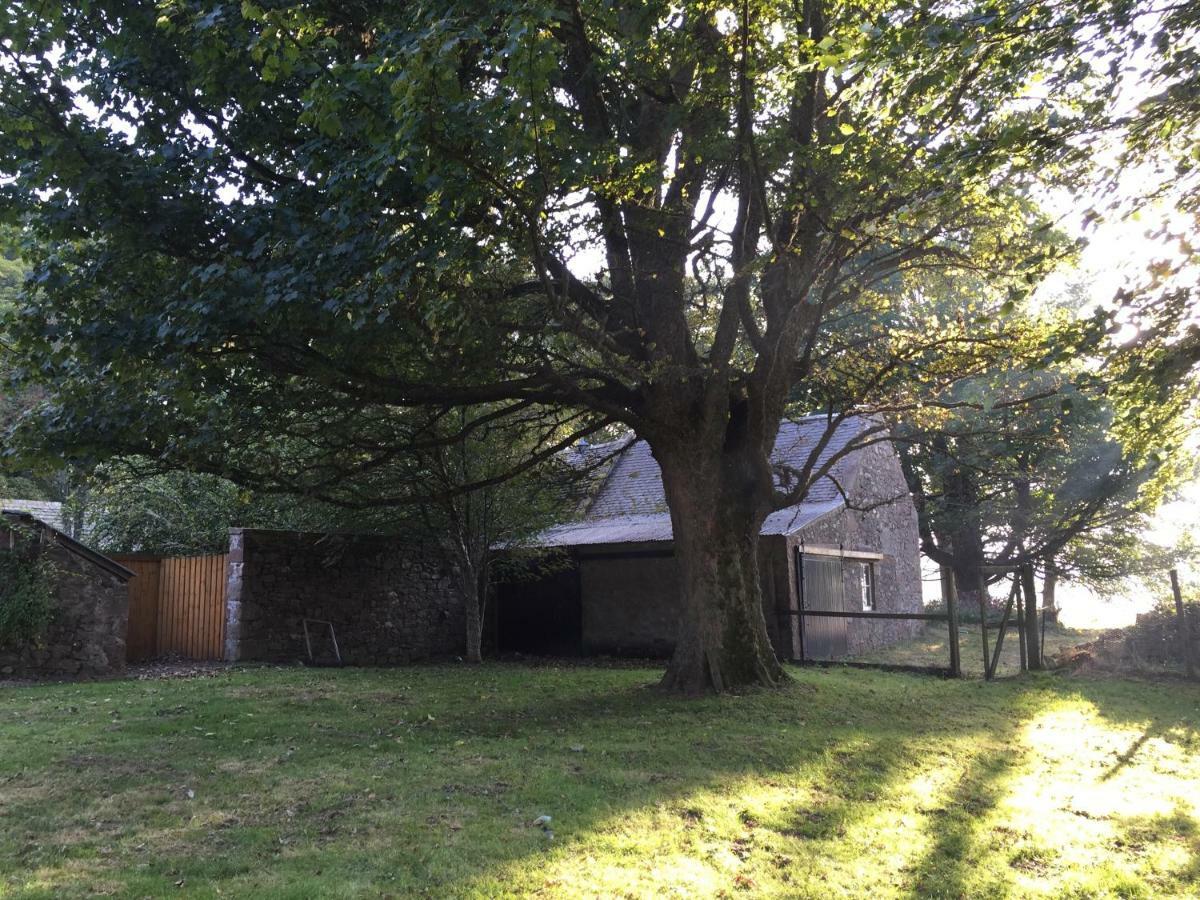 The Old Manse B&B ダフタウン エクステリア 写真
